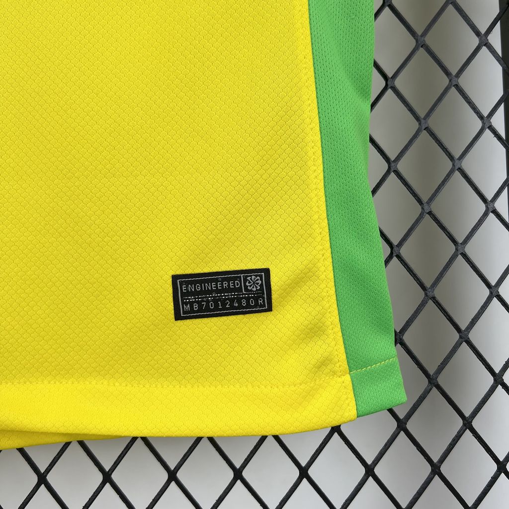 Camisa Brasil Home 25/26 Nike - Feminina