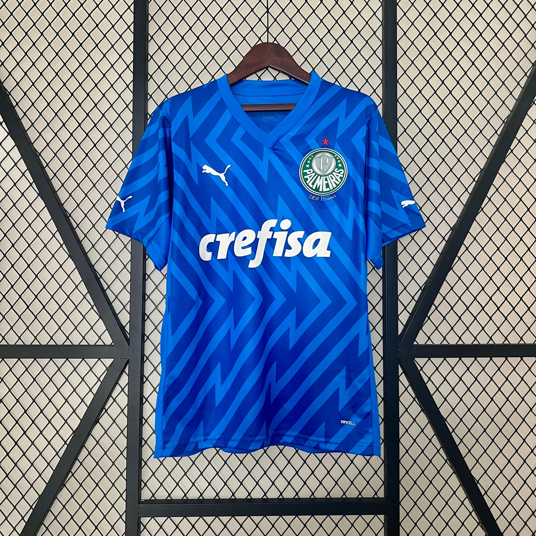 Camisa Palmeiras Goleiro 24/25 Puma - Torcedor