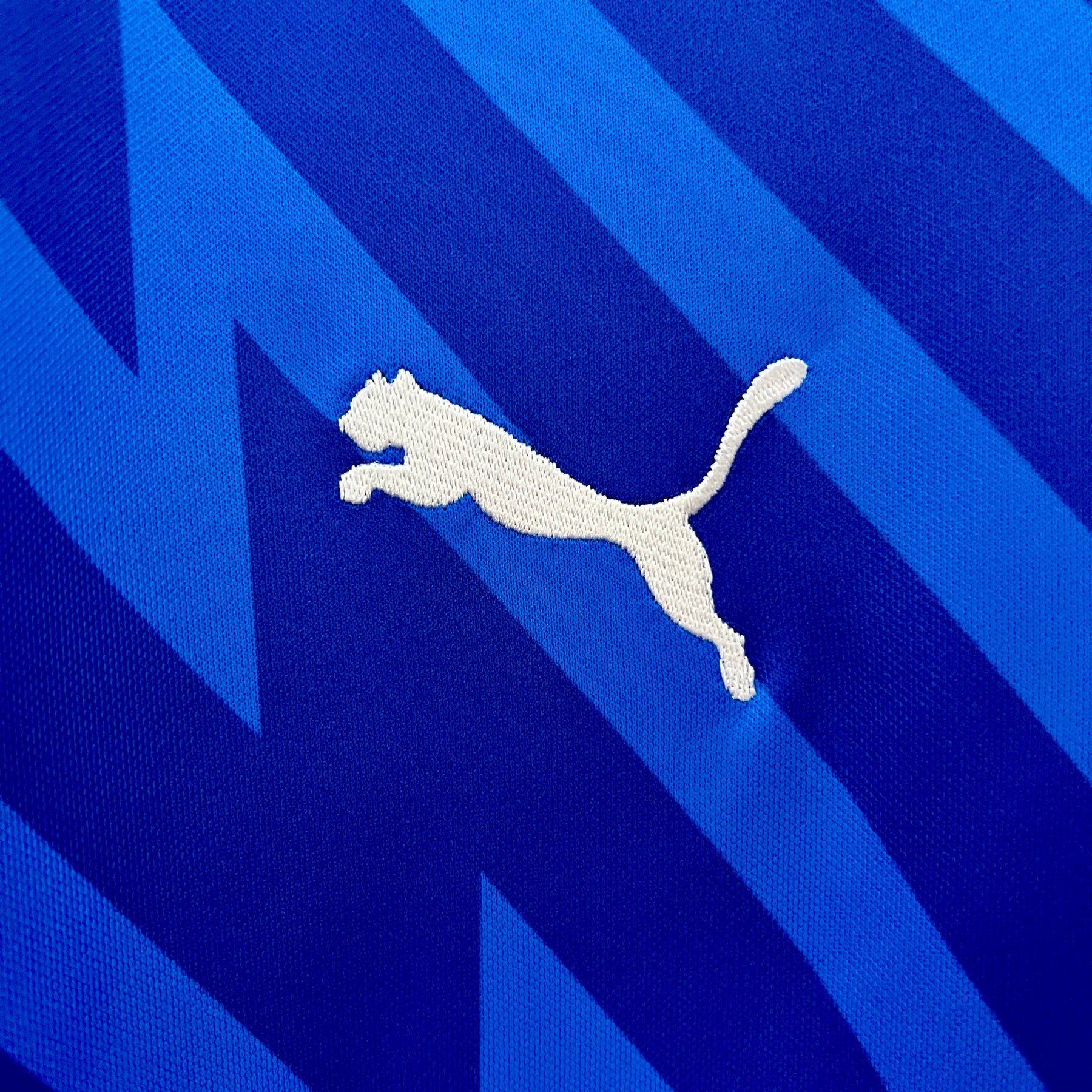 Camisa Palmeiras Goleiro 24/25 Puma - Torcedor