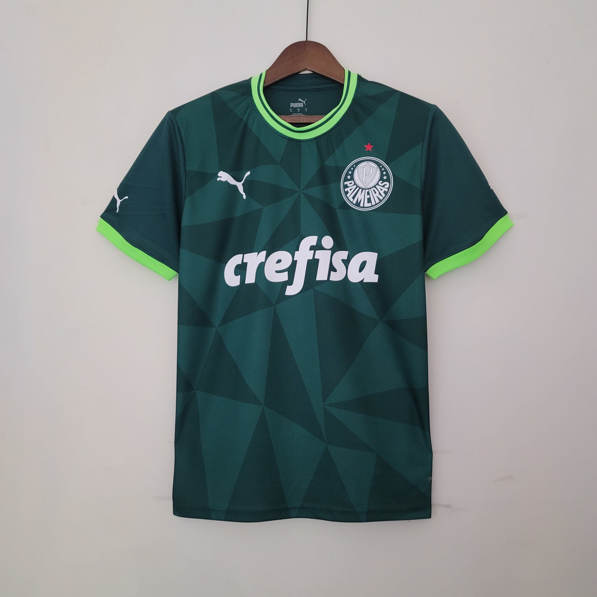 Camisa Palmeiras Titular 23/24 - Puma Torcedor Masculina