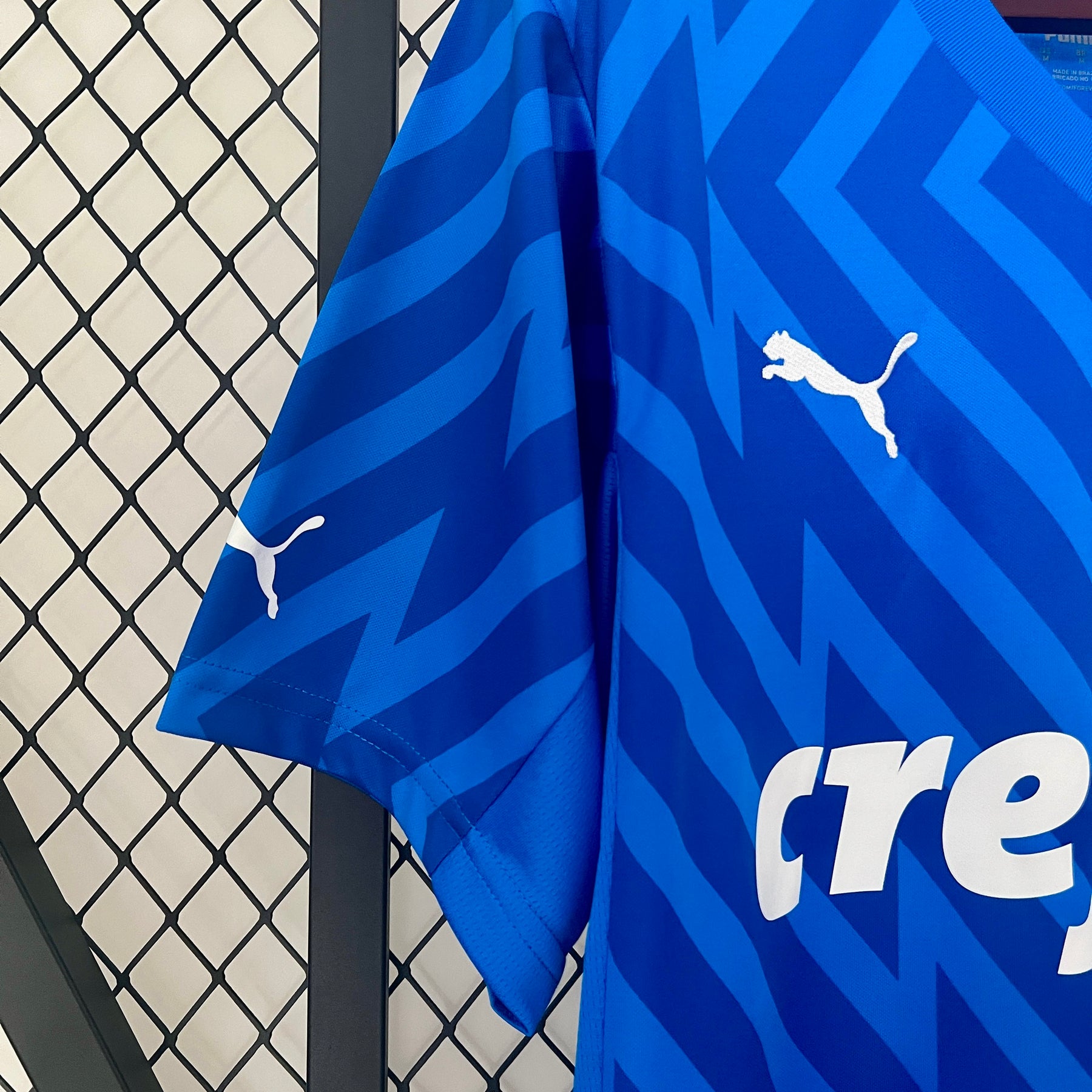 Camisa Palmeiras Goleiro 24/25 Puma - Torcedor