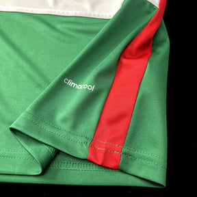 Camisa Palmeiras Retrô 2014 - Centenário - Adidas